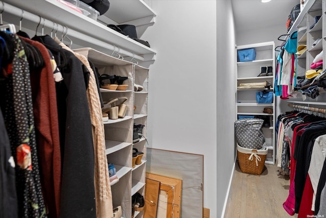 spacious closet featuring wood finished floors