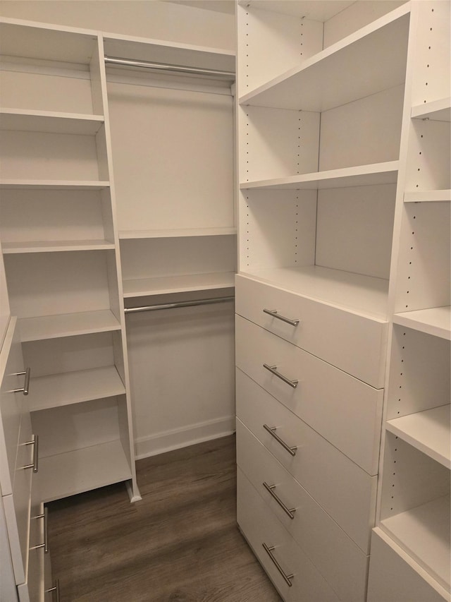 walk in closet with dark wood-type flooring