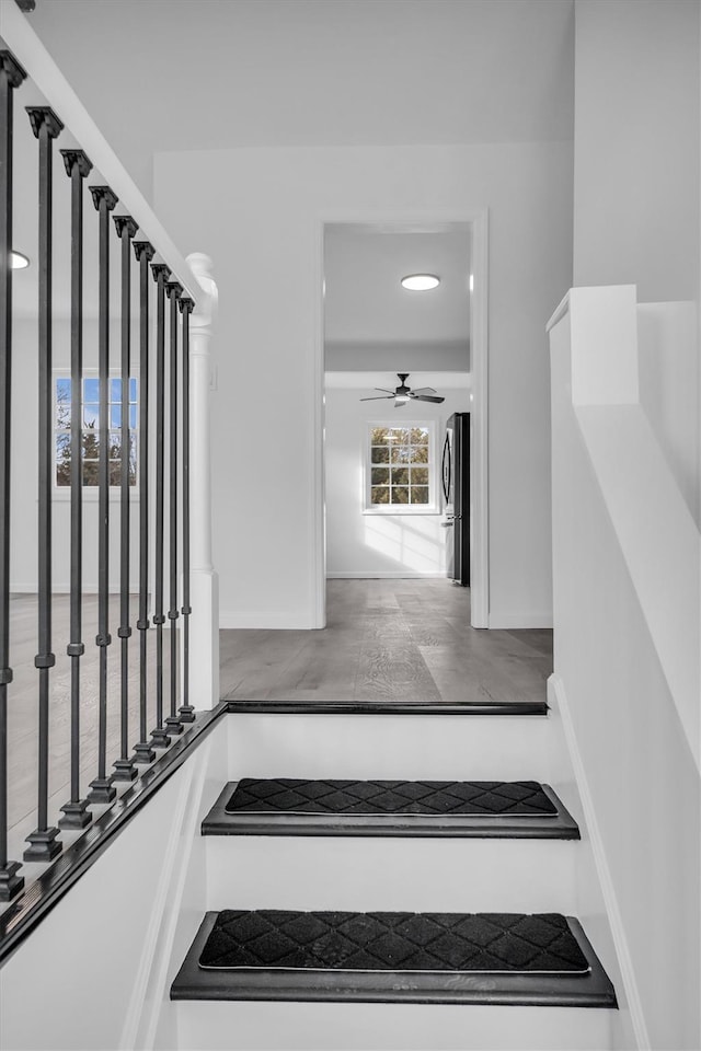 stairway featuring baseboards and ceiling fan