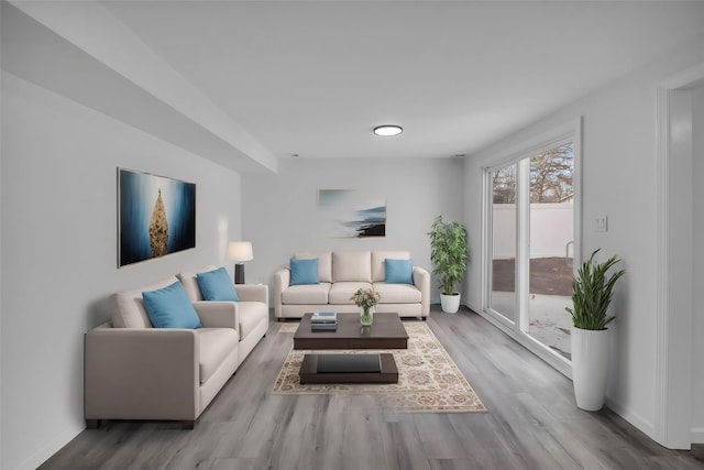 living room featuring wood finished floors