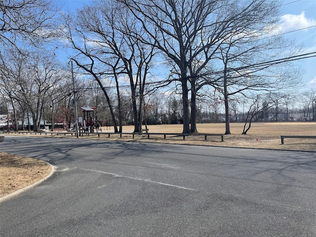 view of road with curbs