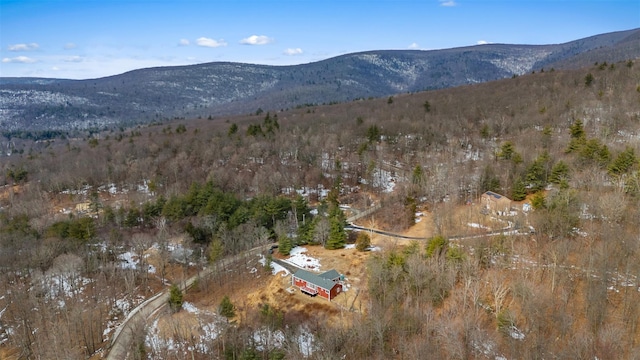 birds eye view of property featuring a mountain view