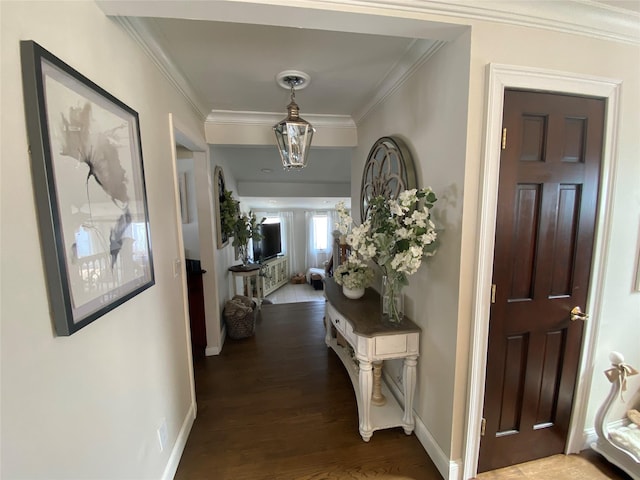 corridor featuring baseboards, ornamental molding, and dark wood-type flooring