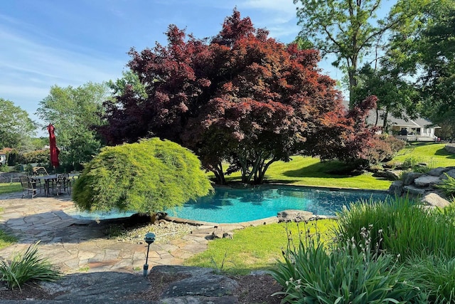 view of swimming pool featuring a patio area and a yard