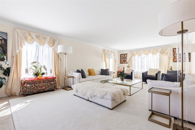 living room featuring carpet flooring and crown molding