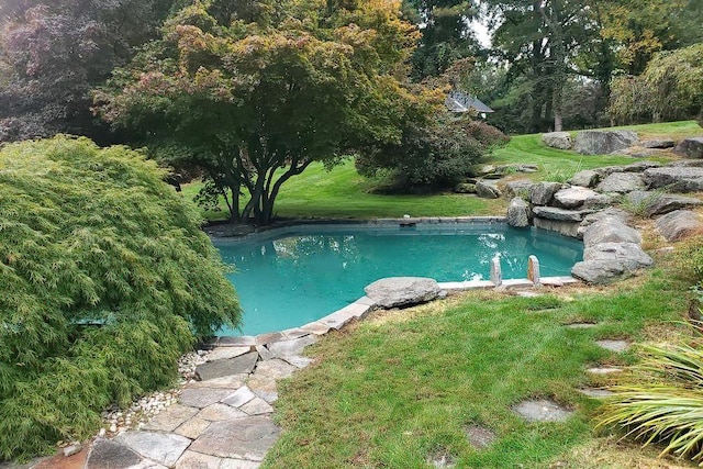 outdoor pool with a lawn