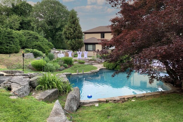 view of swimming pool