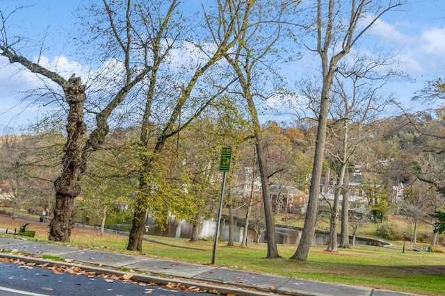 view of home's community with a lawn