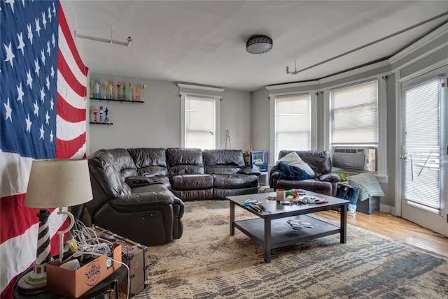 living area with wood finished floors