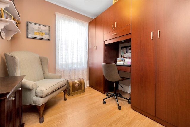 office space featuring light wood finished floors