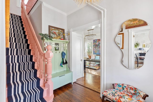 mudroom featuring hardwood / wood-style flooring and crown molding