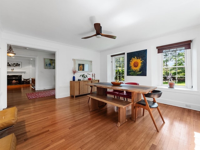 1 Finnegan Ln, Montebello, NY 10901 - dining space featuring ceiling fan, healthy amount of natural light, light wood-type flooring, and a lit fireplace