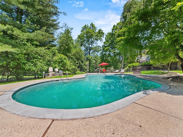 1 Finnegan Ln, Montebello, NY 10901 - outdoor pool with view of scattered trees