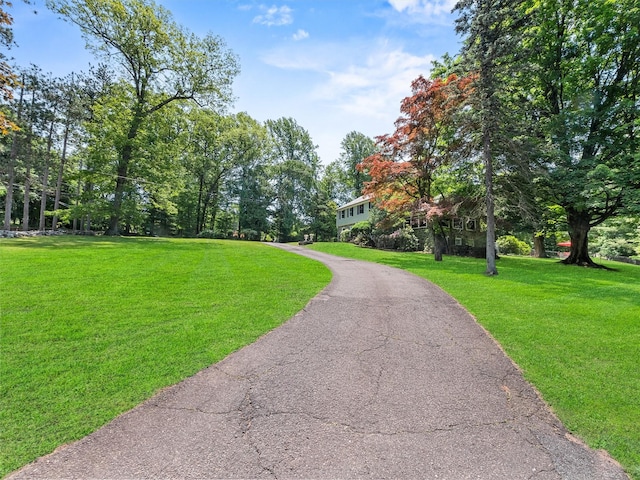 1 Finnegan Ln, Montebello, NY 10901 - view of property's community with a lawn and driveway