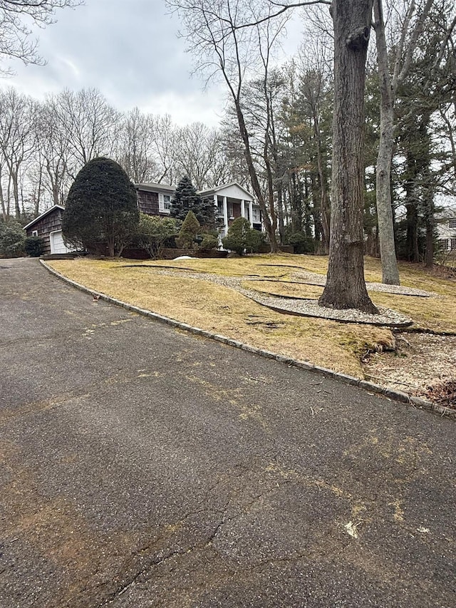 view of yard with a garage and driveway