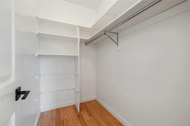 spacious closet with light wood-style flooring