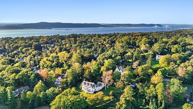 aerial view with a water view and a view of trees