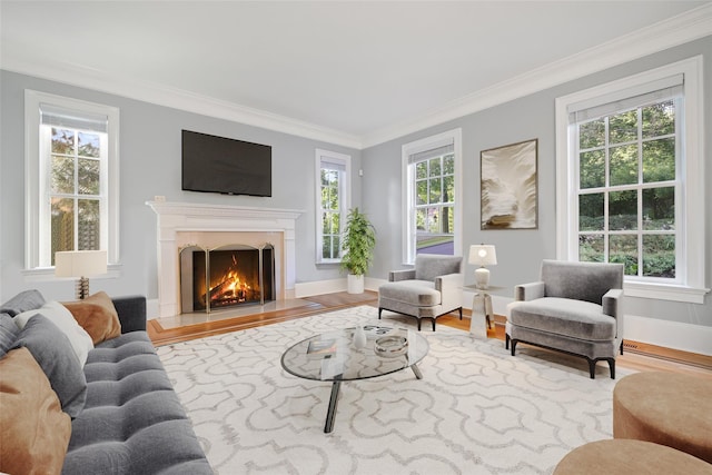 living area featuring crown molding and wood finished floors