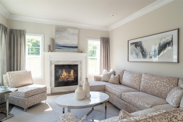 living room with a fireplace and crown molding