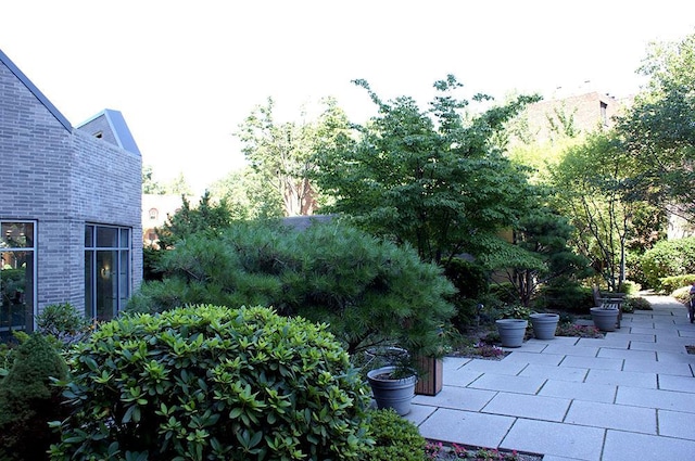 view of yard with a patio