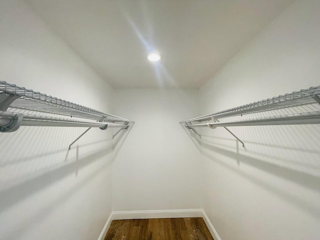 spacious closet with dark wood-type flooring