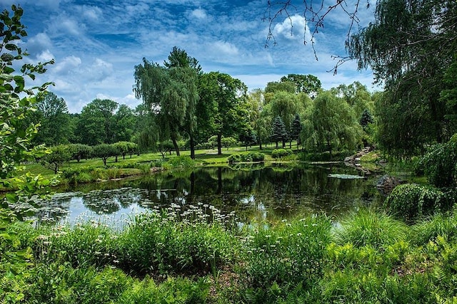 water view