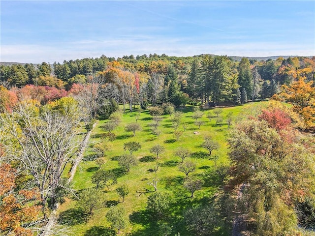 aerial view featuring a forest view