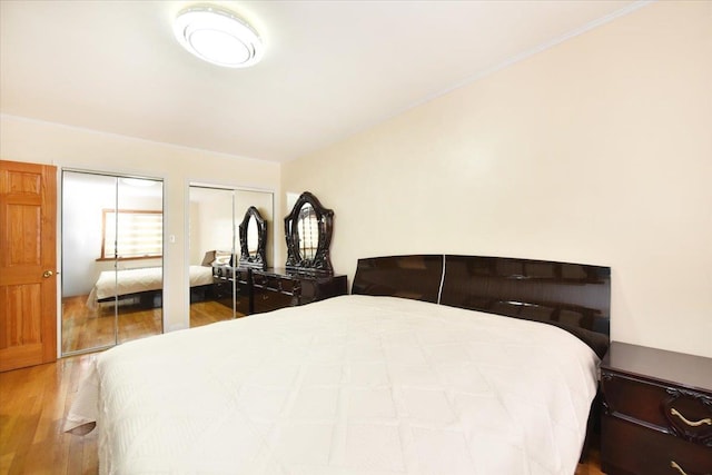 bedroom featuring multiple closets and wood finished floors