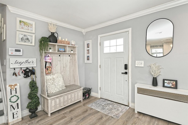 mudroom featuring baseboards, wood finished floors, and crown molding