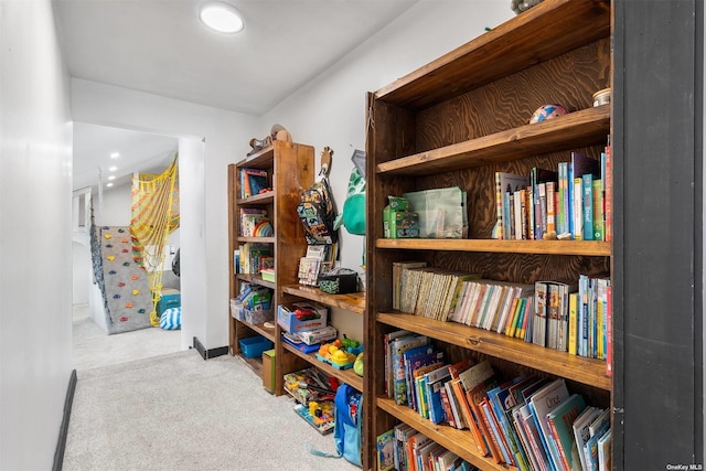 interior space with carpet and baseboards