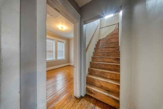 stairs with baseboards and hardwood / wood-style floors