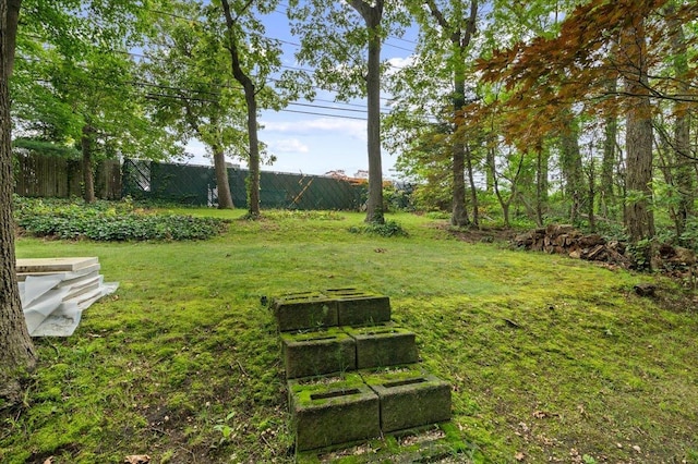 60 Ridge Dr, Plainview, NY 11803 - photo 42