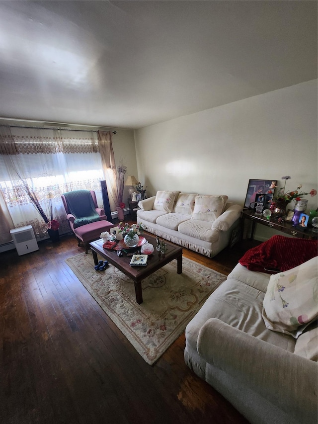 living room with wood-type flooring