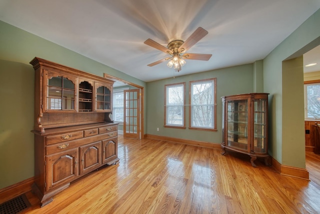 interior space with light wood-type flooring, a healthy amount of sunlight, and baseboards