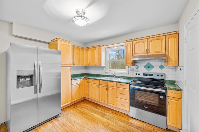 kitchen with light wood finished floors, backsplash, under cabinet range hood, appliances with stainless steel finishes, and a sink