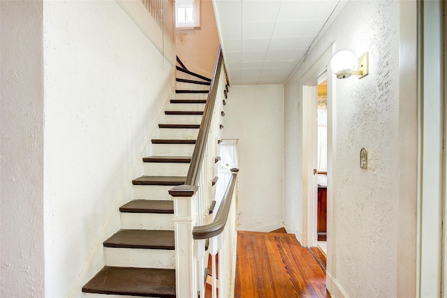 staircase with wood finished floors and a textured wall