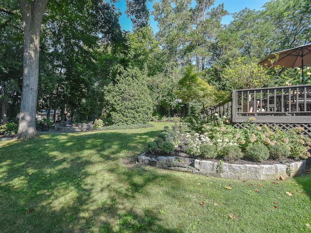 view of yard featuring a deck