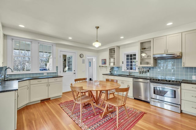 kitchen featuring light wood finished floors, a sink, under cabinet range hood, appliances with stainless steel finishes, and dark countertops