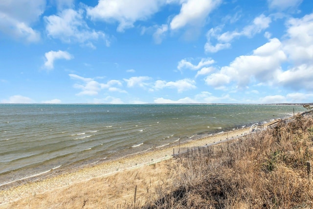 water view featuring a beach view