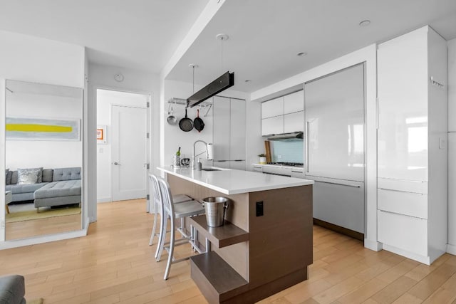 kitchen featuring white cabinets, light wood finished floors, a sink, and modern cabinets