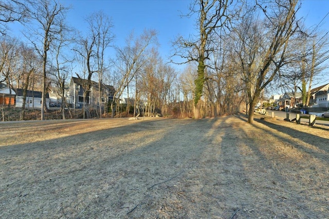 view of yard with a residential view