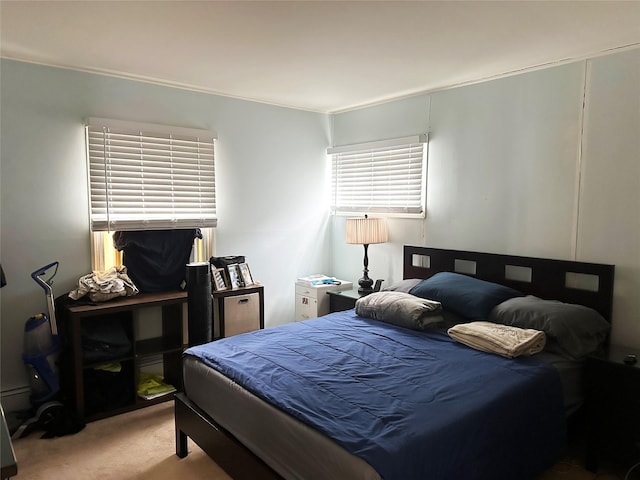 view of carpeted bedroom