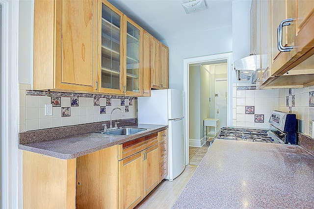 kitchen with a sink, freestanding refrigerator, backsplash, and stainless steel stove