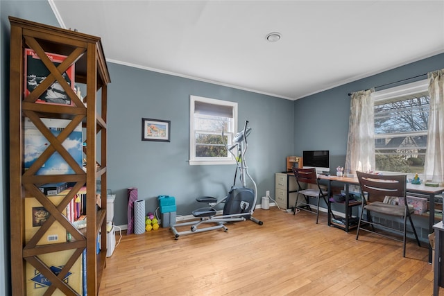 office space with ornamental molding, baseboards, and wood-type flooring