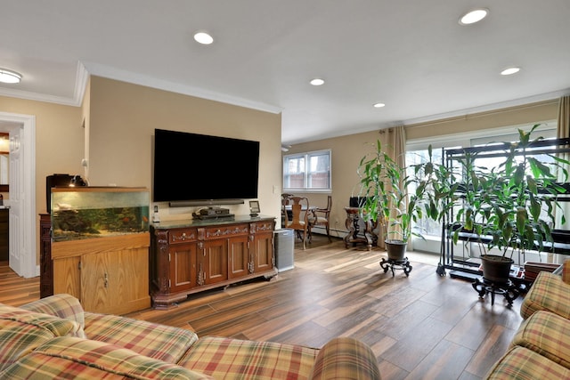 living area with dark wood-style flooring, recessed lighting, and crown molding