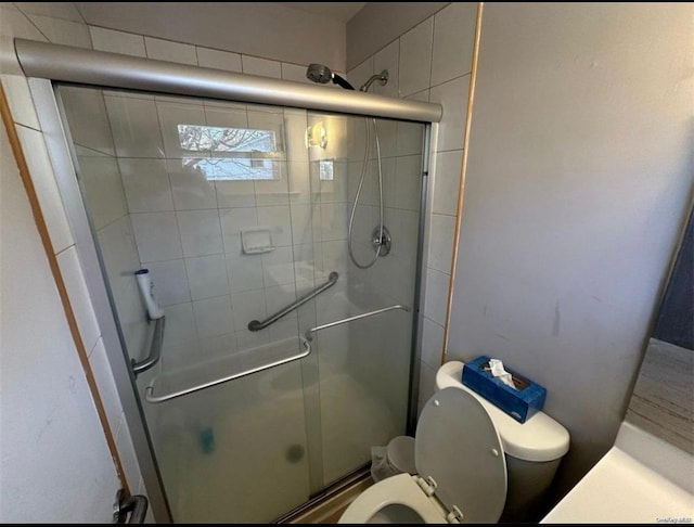 bathroom with toilet and a shower stall