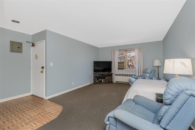 living area with baseboards, carpet, electric panel, and radiator