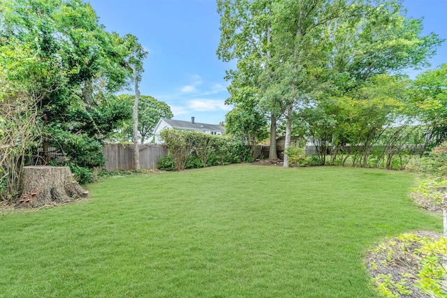 view of yard featuring a fenced backyard