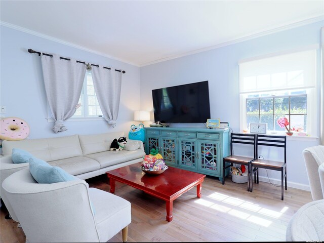 6 Morris Ln, Great Neck, NY 11024 - photo 5