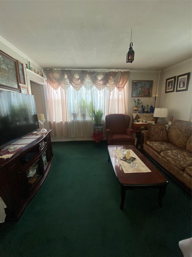 living area featuring dark carpet and crown molding